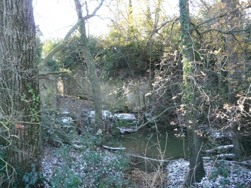 Ecluse du Canal du midi sous la végétation