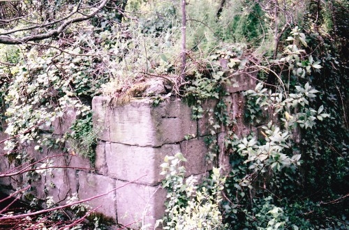 Ecluse du Canal du midi sous la végétation