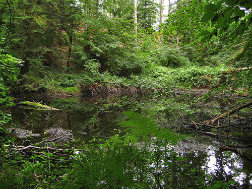 Lac de Barrenc