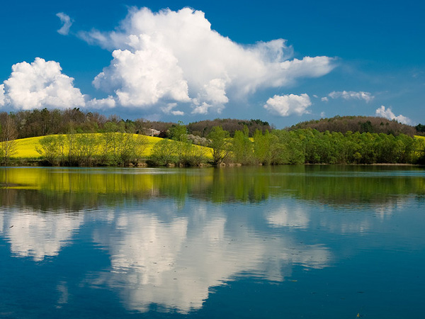 Lac de Montbel