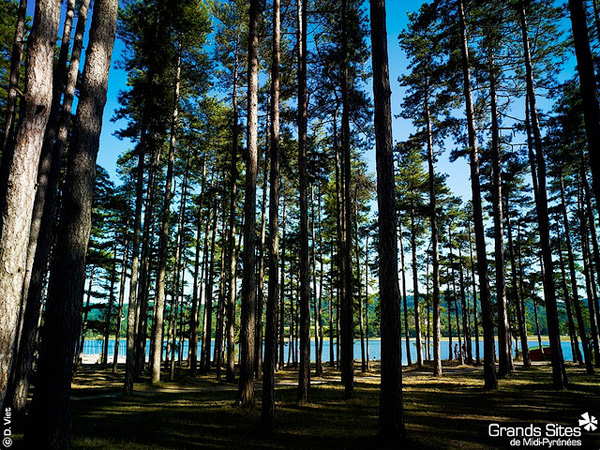 Lac de Saint-Ferréol