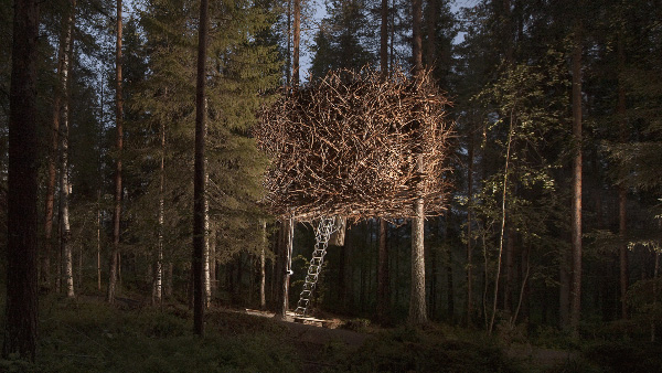 Des maisons dans les arbres