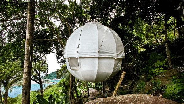 Des maisons dans les arbres