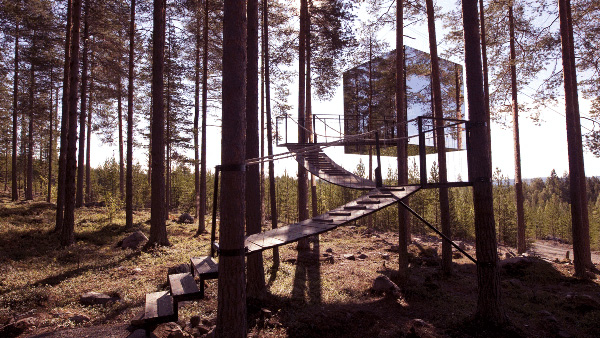 Des maisons dans les arbres