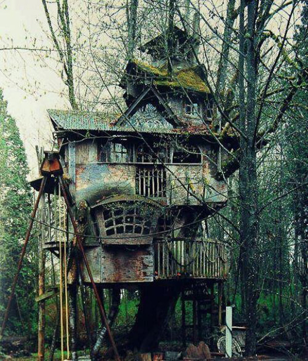 Des maisons dans les arbres