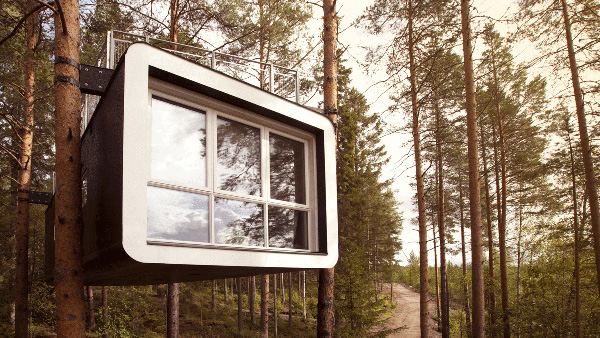 Des maisons dans les arbres