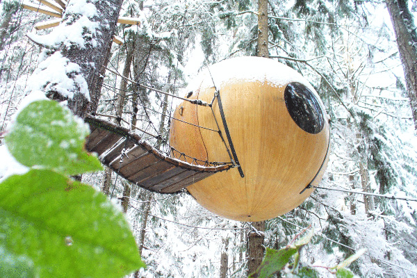 Des maisons dans les arbres