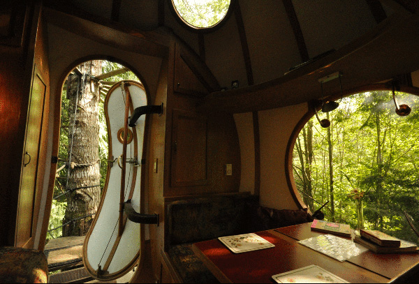 Des maisons dans les arbres