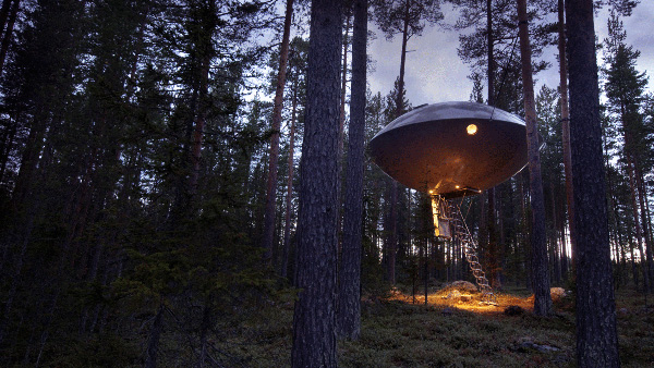 Des maisons dans les arbres