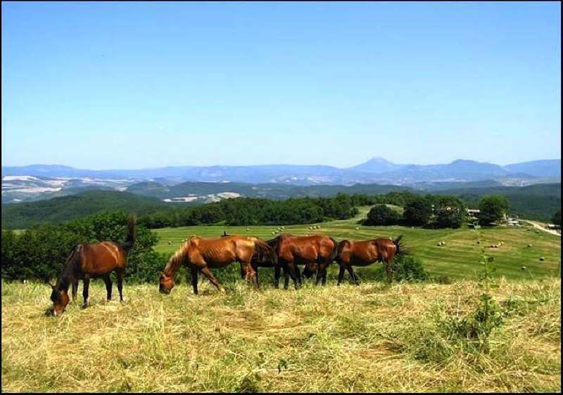 Superbe Propriété à 20 minutes de Limoux