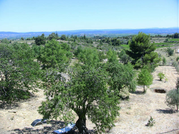 Superbe Maison Vigneronne dans le Haut Minervois