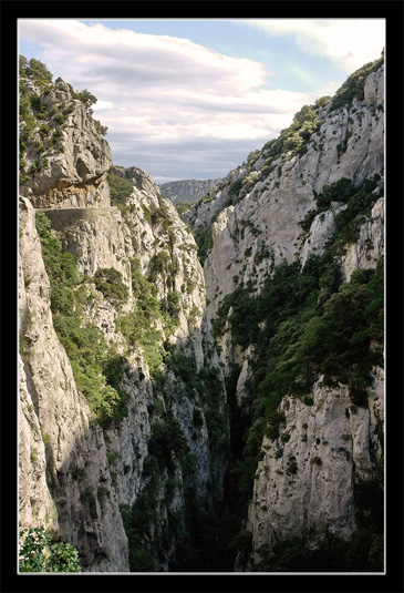 Les gorges de Galamus