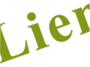 Lien