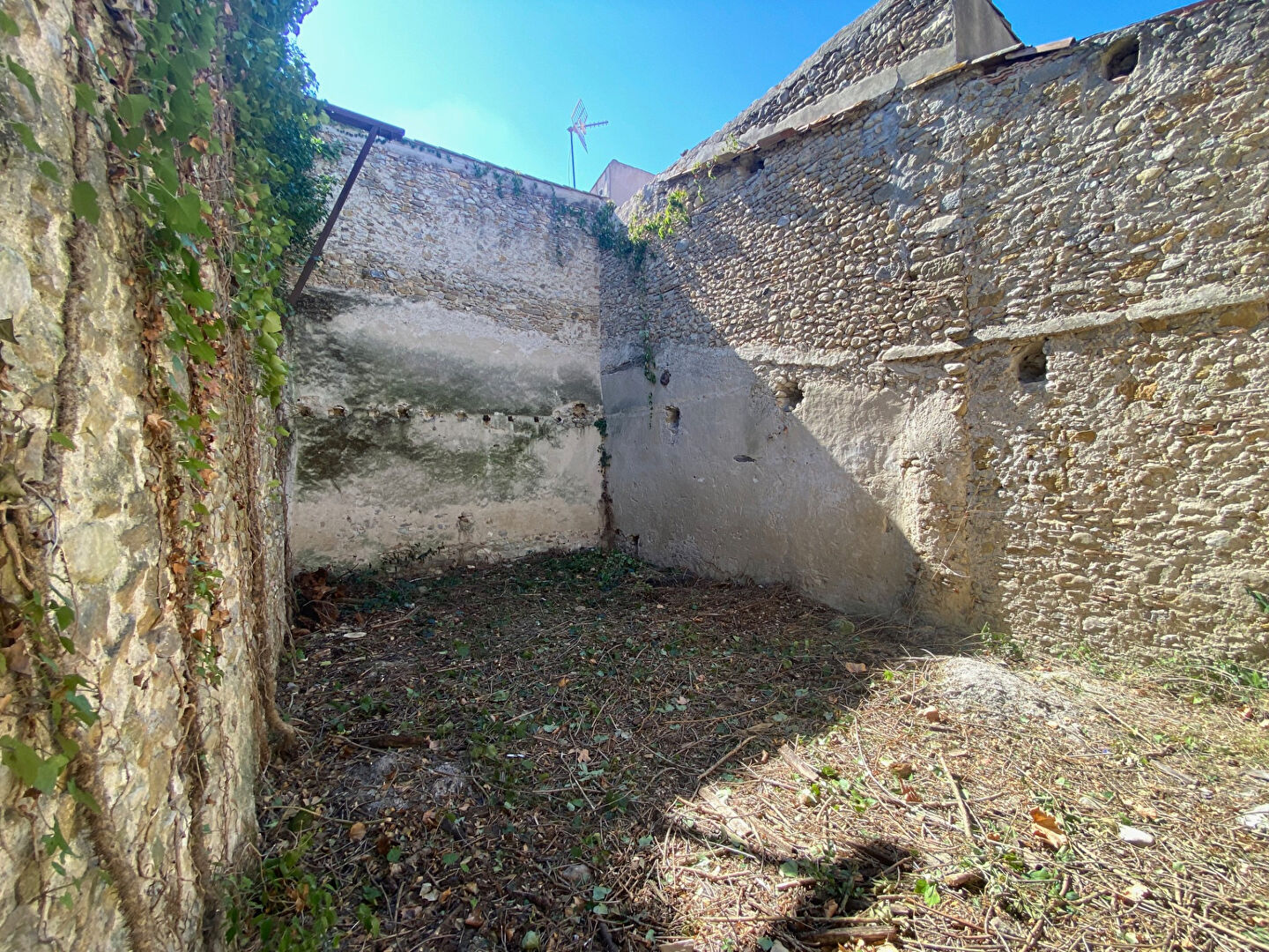 Photo 3